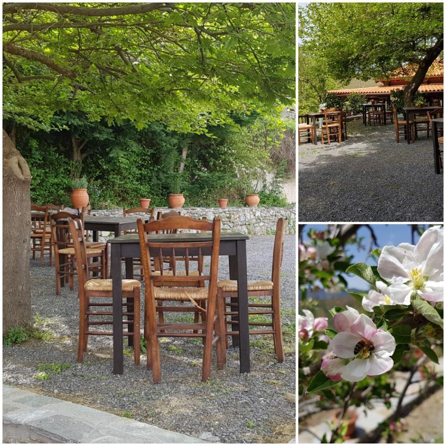 Alagonia Country Homes Dış mekan fotoğraf