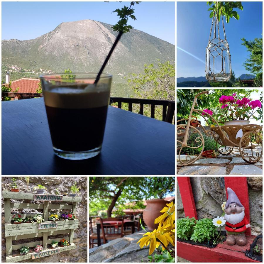 Alagonia Country Homes Dış mekan fotoğraf