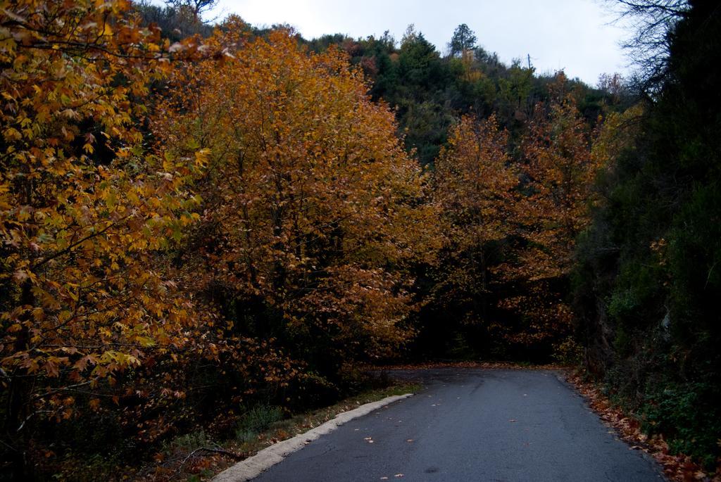 Alagonia Country Homes Dış mekan fotoğraf