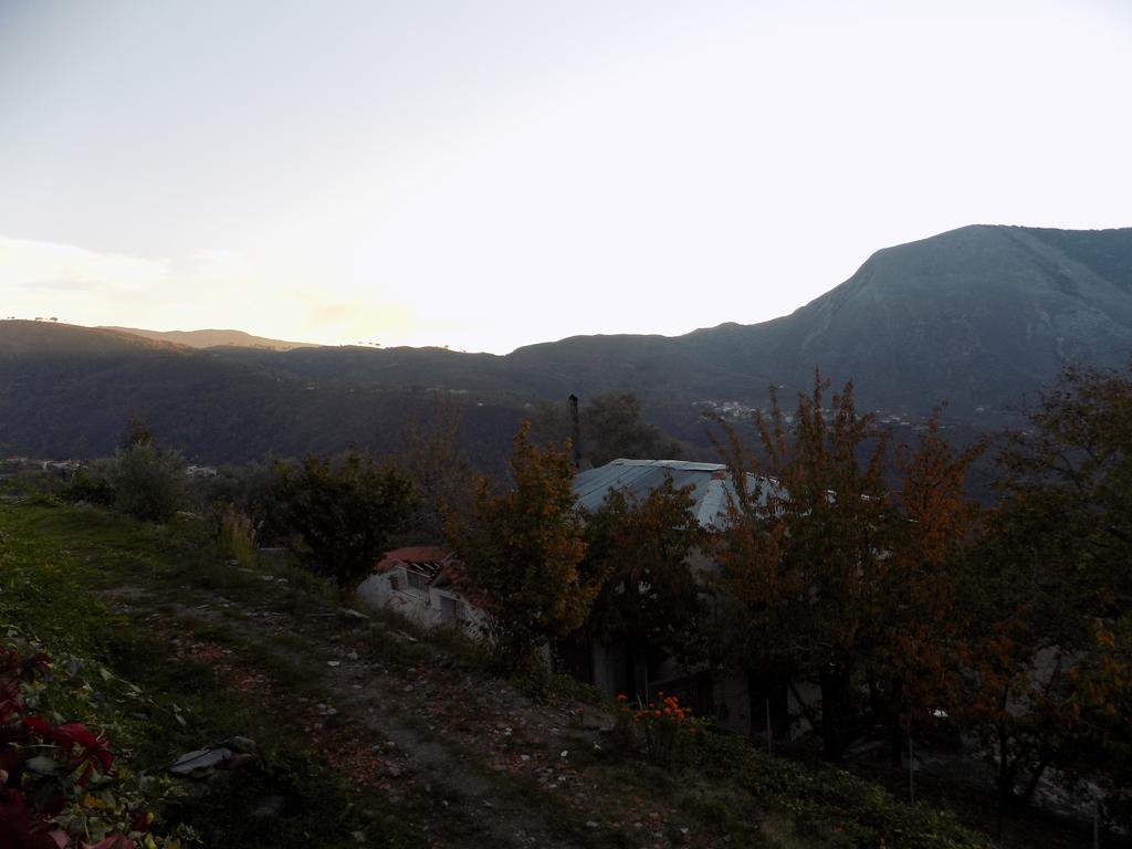 Alagonia Country Homes Dış mekan fotoğraf