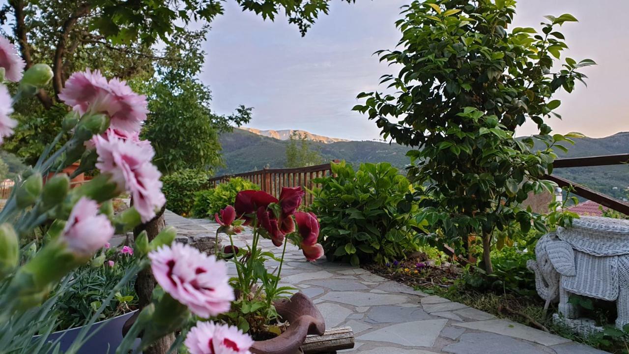 Alagonia Country Homes Dış mekan fotoğraf