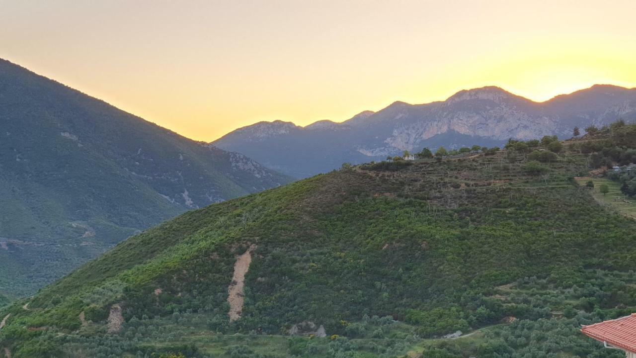 Alagonia Country Homes Dış mekan fotoğraf