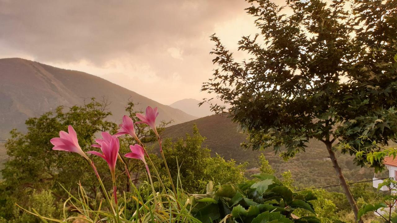 Alagonia Country Homes Dış mekan fotoğraf