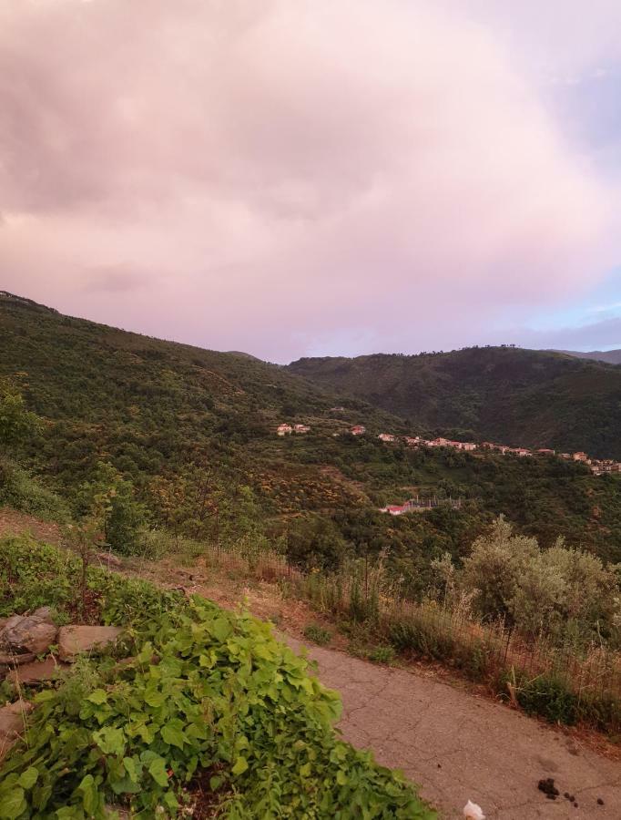Alagonia Country Homes Dış mekan fotoğraf