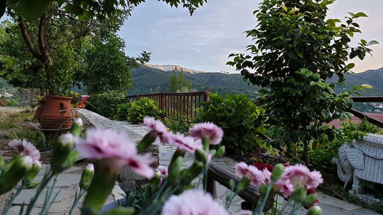 Alagonia Country Homes Dış mekan fotoğraf