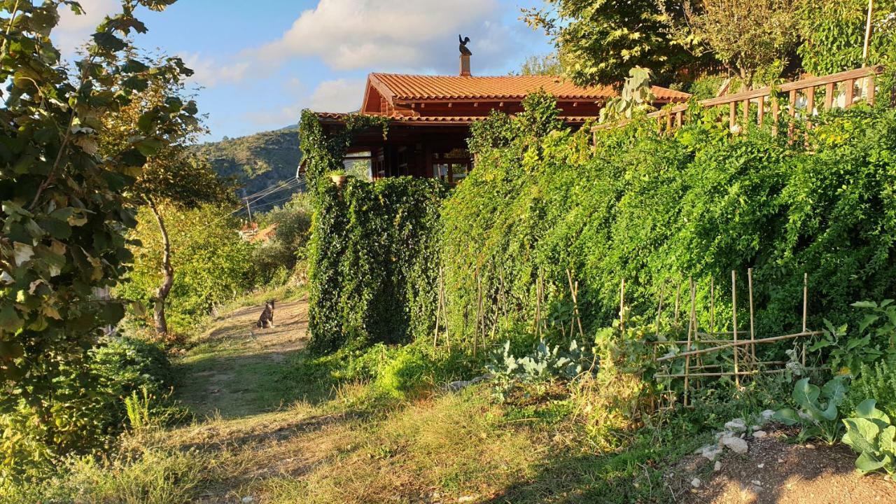 Alagonia Country Homes Dış mekan fotoğraf