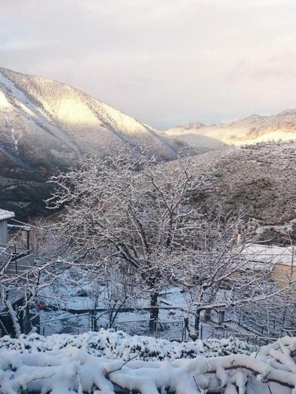 Alagonia Country Homes Dış mekan fotoğraf