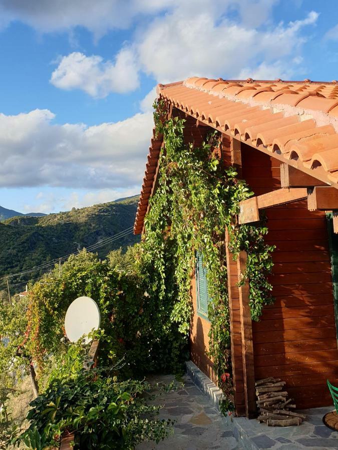 Alagonia Country Homes Dış mekan fotoğraf