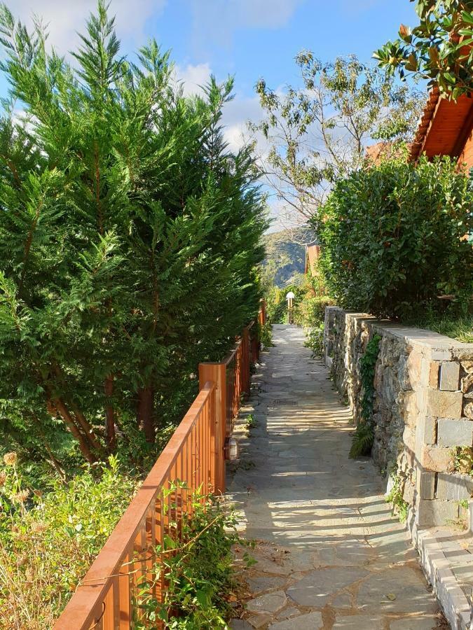 Alagonia Country Homes Dış mekan fotoğraf