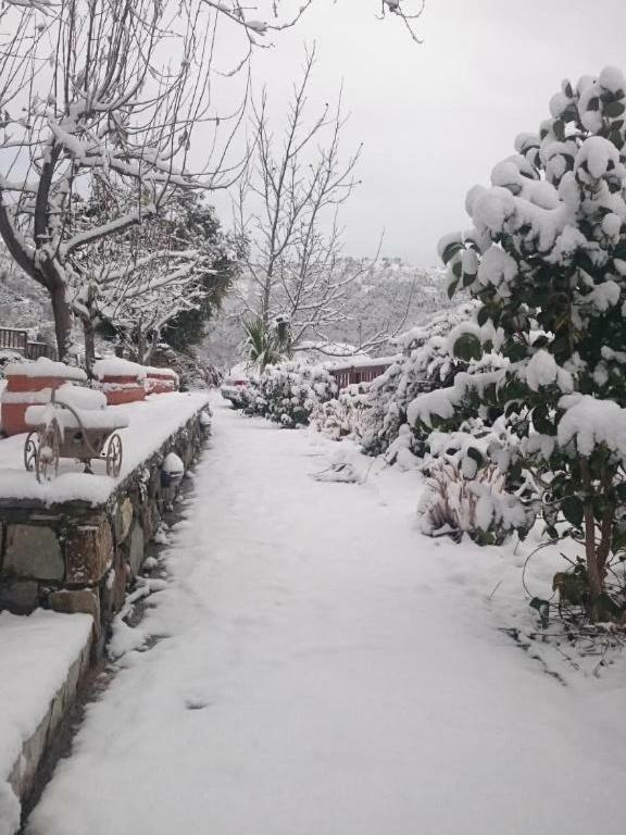 Alagonia Country Homes Dış mekan fotoğraf