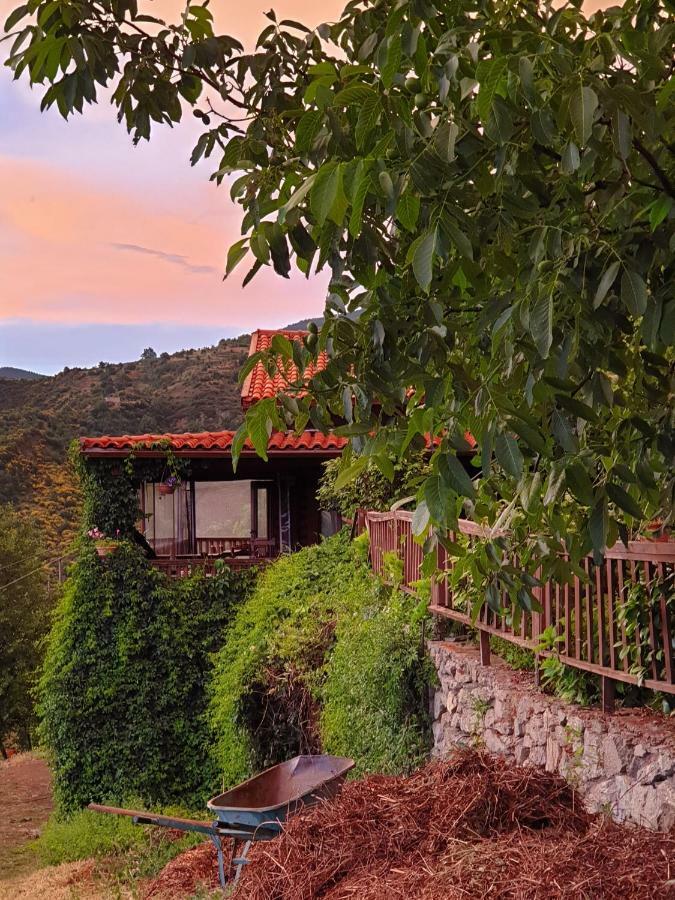 Alagonia Country Homes Dış mekan fotoğraf